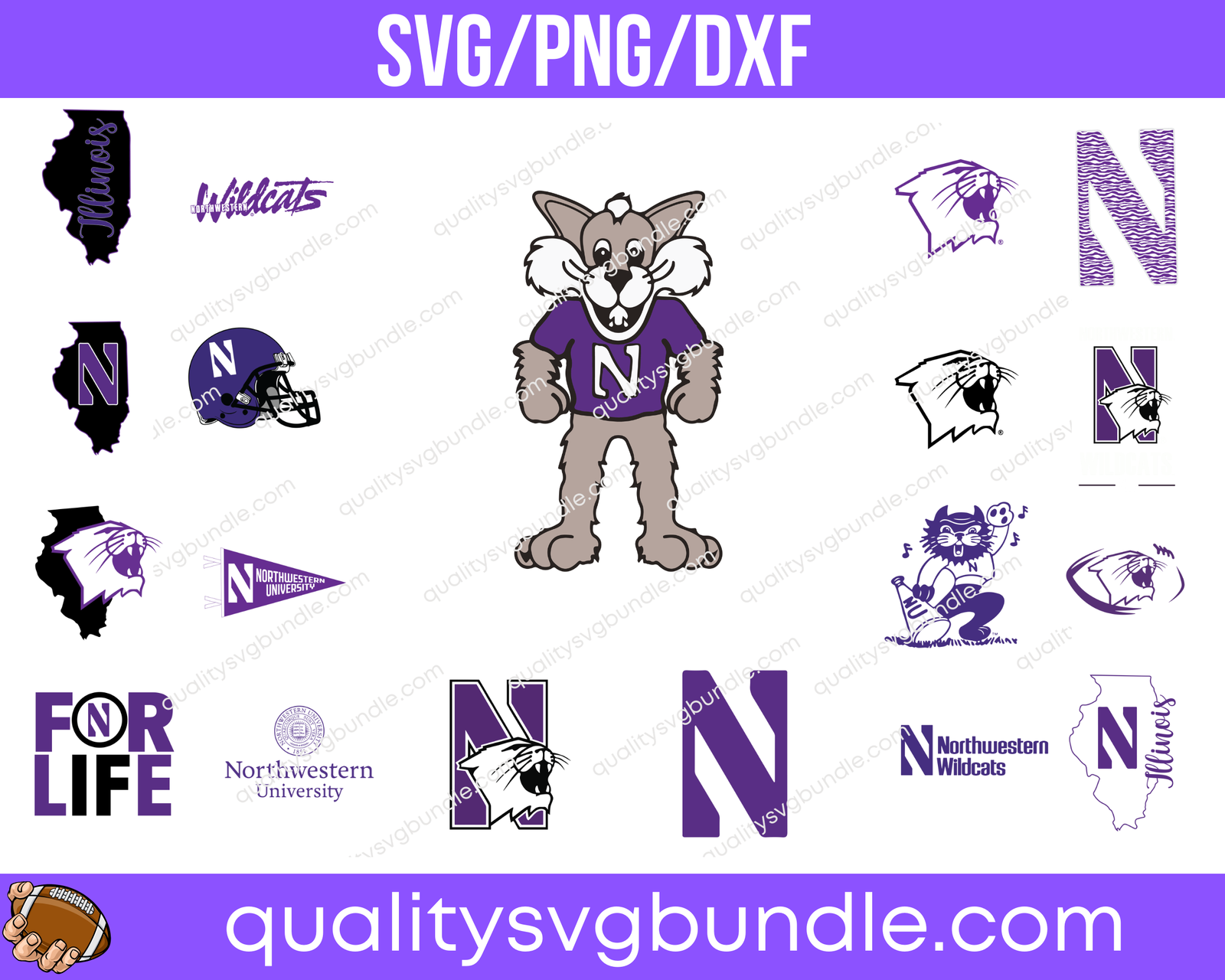 Northwestern Wildcats Football NCAA Team