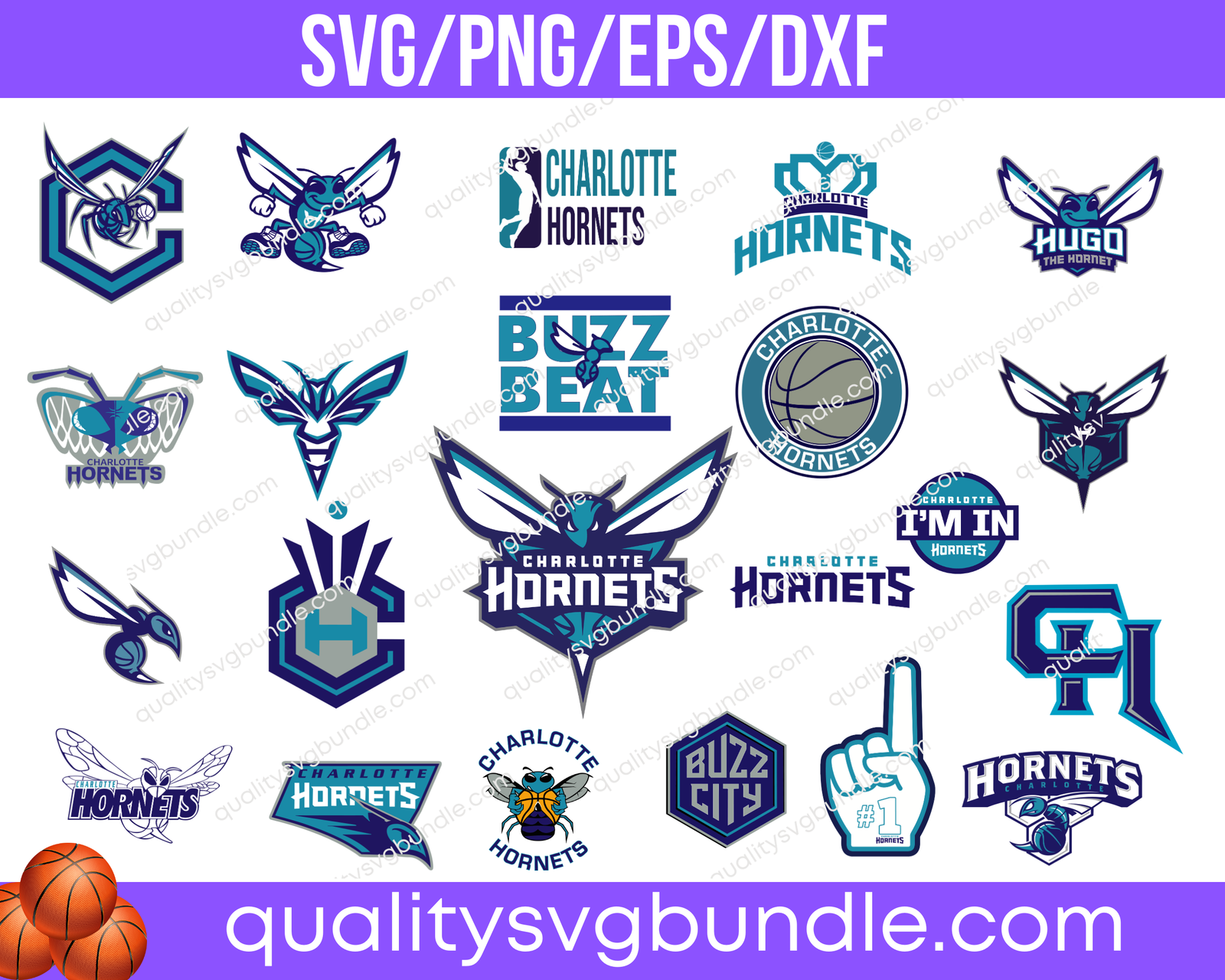 Charlotte Hornets Basketball NBA Team